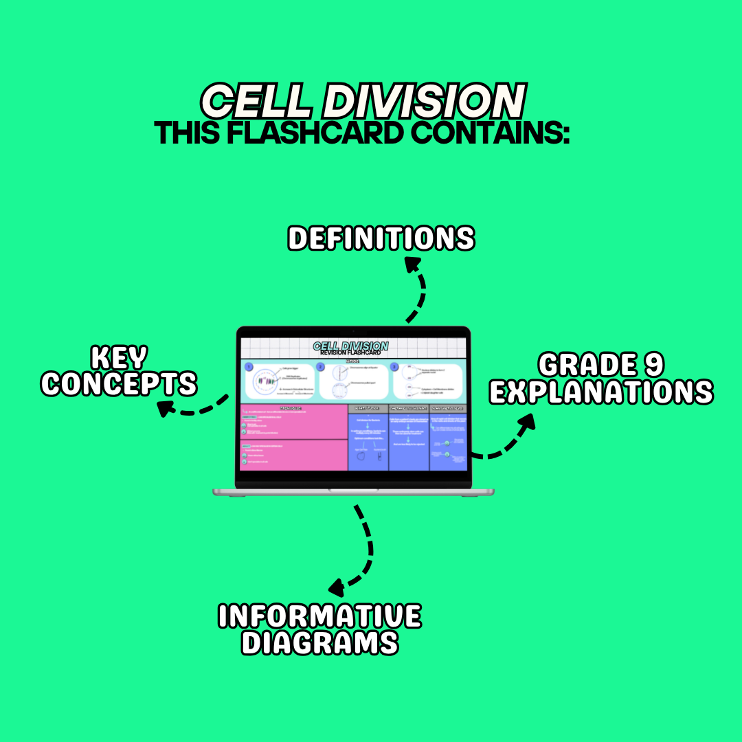 CELL DIVISION Revision Flashcard (Combined Paper 1)