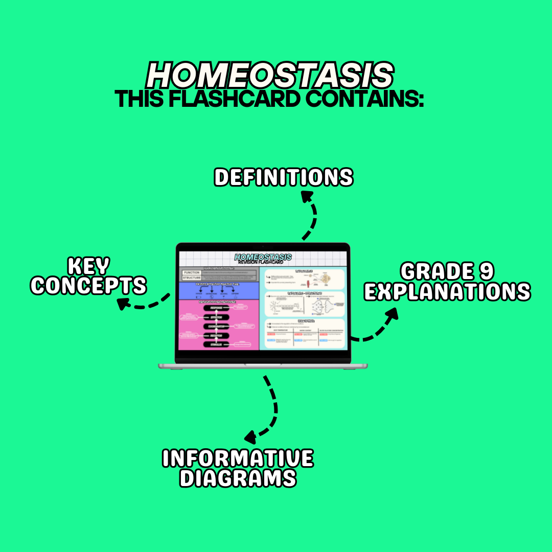 HOMEOSTASIS Revision Flashcard