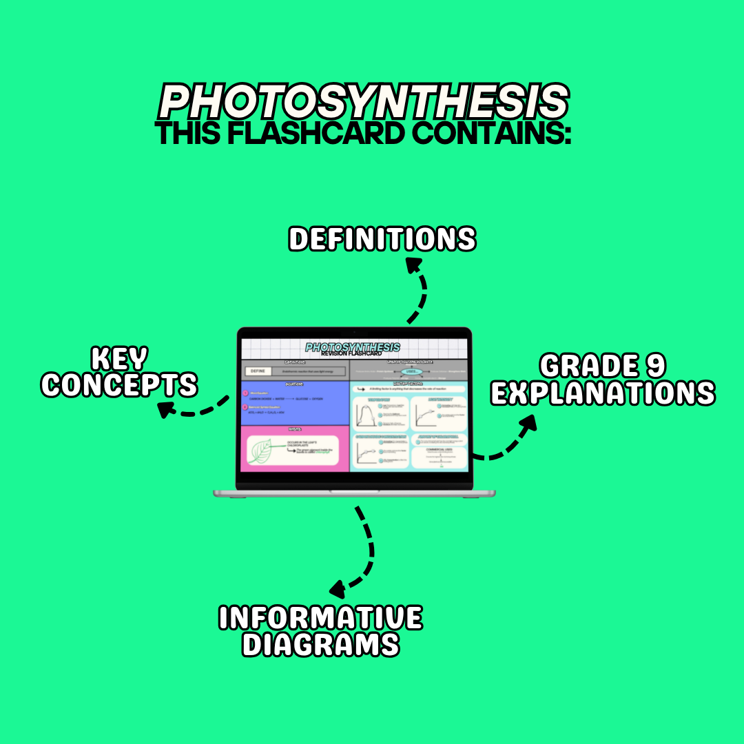 PHOTOSYNTHESIS Revision Flashcard (Combined Paper 1)