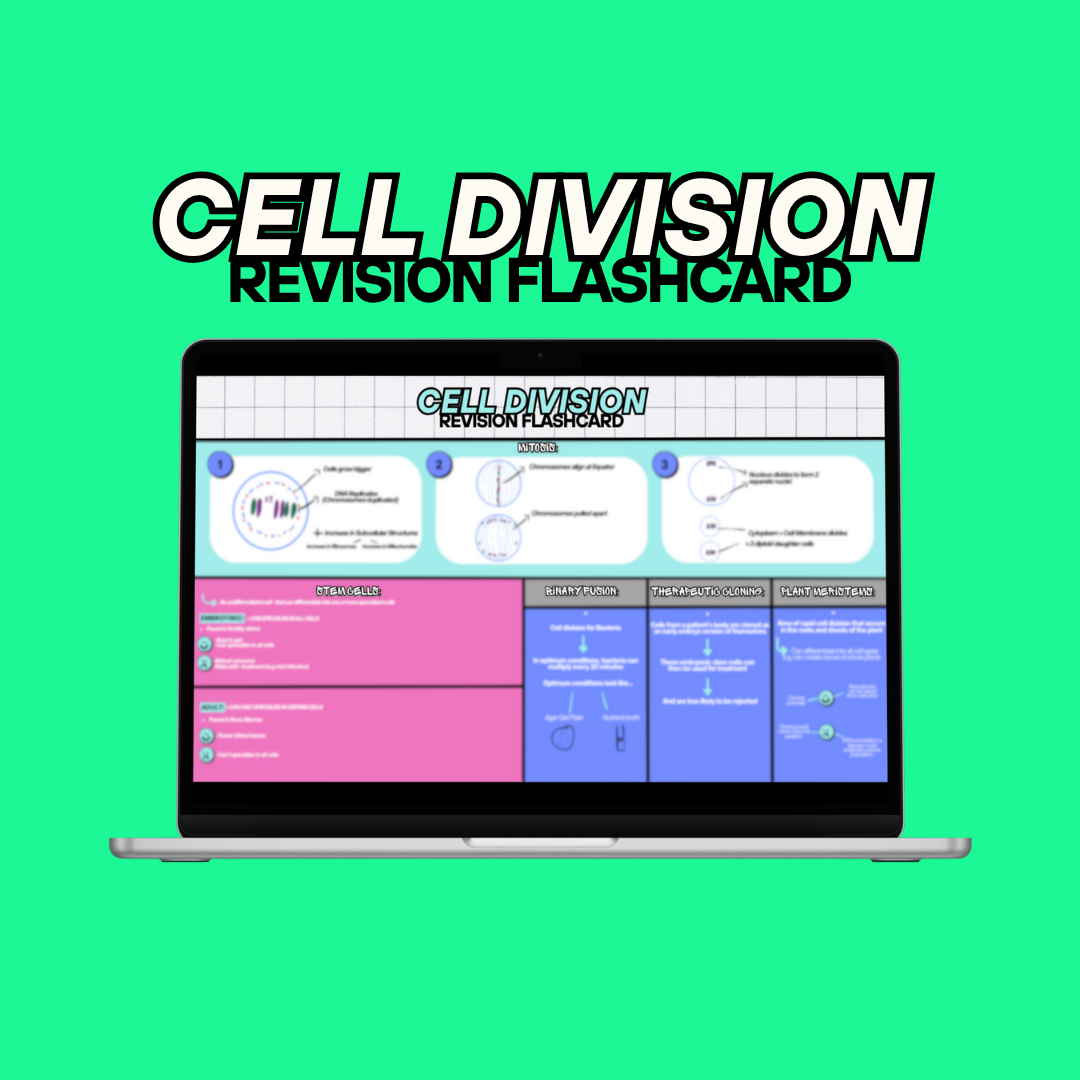 CELL DIVISION Revision Flashcard (Combined Paper 1)
